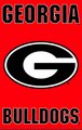 University of Georgia 44" x 28" Applique Banner Flag University of Georgia 44" x 28" Applique Banner Flag